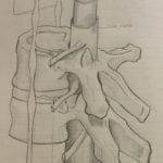 170662009 12dbf7fad6 150x150 5 Keys Fitness Professionals Must Remember When Training a Client with a Herniated Disc