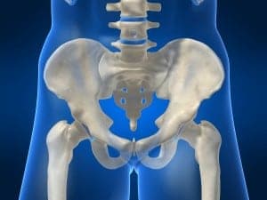 Exercise_Rehabilitation_of_the_Hip
