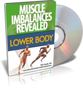 MIR-7-DVD-large MIR 7 DVD large 282x300 Muscle Tightness: Overactive Fatigue vs. Dysfunctional Stiffness – Part 2