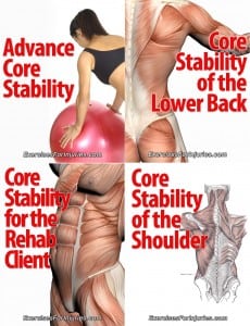 Core-Stability-Courses Core Stability Courses 230x300 Exercise Rehabilitation of the Lower Body Review