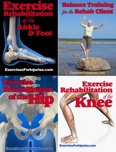 Exercise Rehabilitation of the Lower Body combination 2 230x300 Exercise Rehabilitation of the Lower Body Review