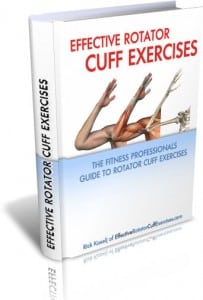 cuff 3D big 1 203x300 What Causes Shoulder Pain?