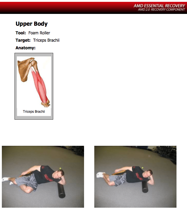 AMD-Essential-Recovery-Guide AMD Essential Recovery Guide Accelerated Muscular Development 2.0 Review