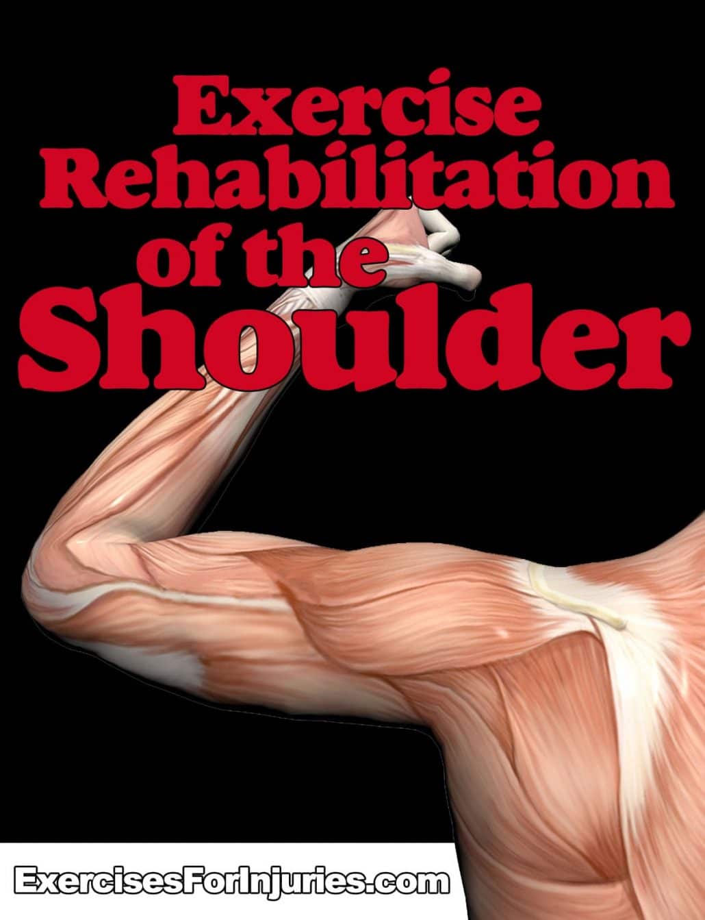 courseimage-shoulder courseimage shoulder Customer Feedback on Things