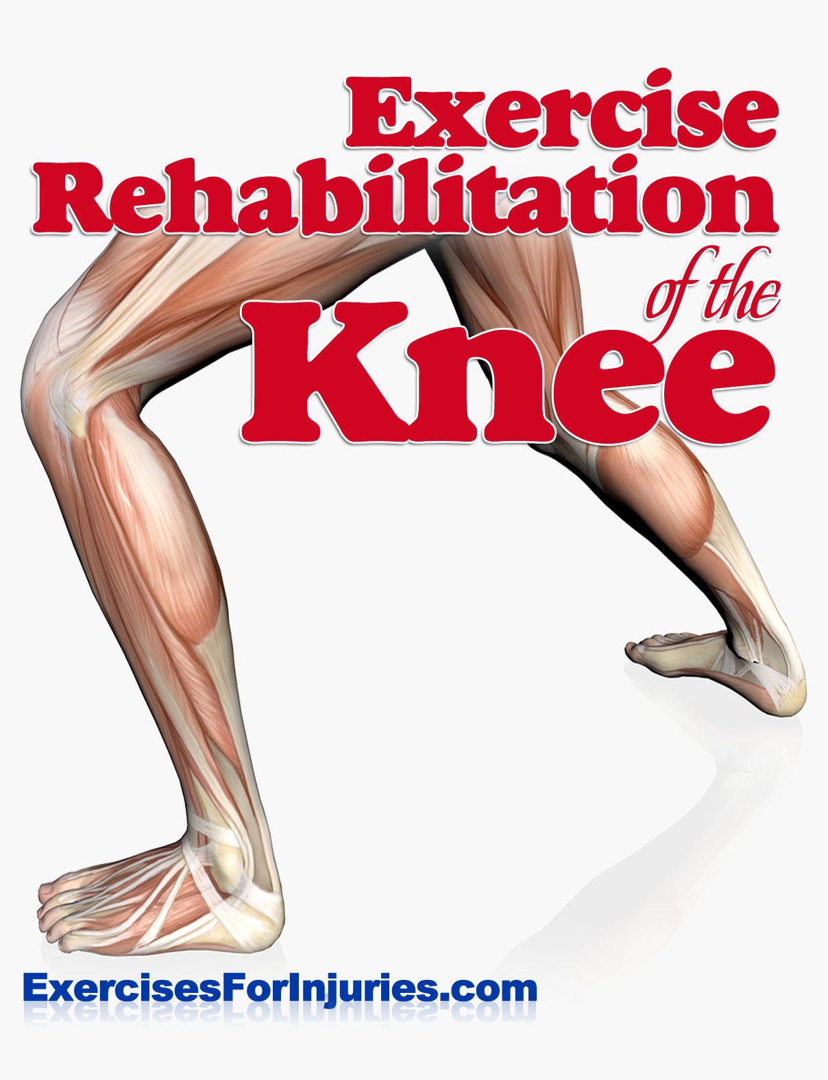 knee courseimage2 Exercise Rehabilitation of the Knee
