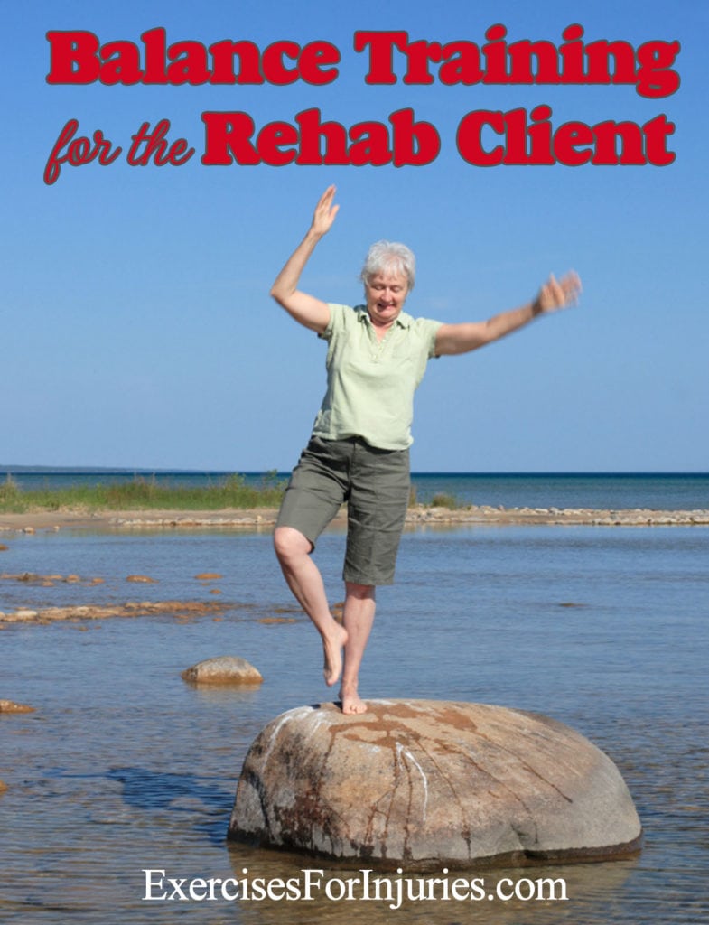 balance courseimage2 785x1024 Importance of Balance Training for the Older Adult with Dr. Dan Ritchie