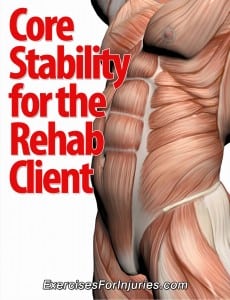 Core Stability of the Rehab Client rehabclient 2 230x300 What To Do If Your Client Only Wants to Work on Their 6 Pack?
