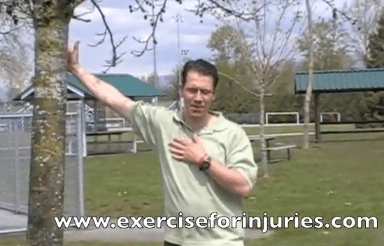 shoulder pain exercises 1 Shoulder Pain Exercises