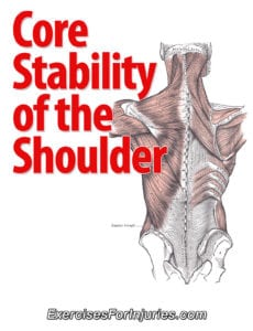 Core Stability of the Shoulder 230x300 Winging Scapula Observations