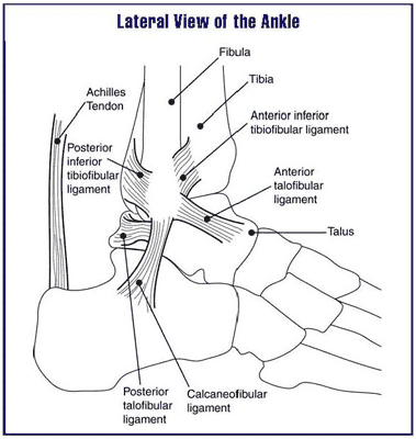 achilles tendinitis exercises 2 Achilles Tendon Exercises
