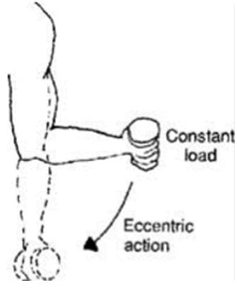 diagram Injury Free Pull Ups