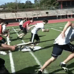 Athletic Movement Progressions 2 Athletic Movement Progressions