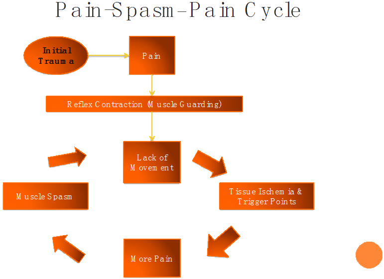 diagram Laws of Posturology