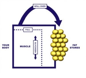 1 300x272 Eat LOTS of Carbs and NEVER Store them as Fat