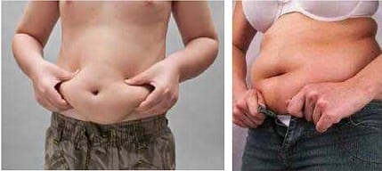 The Truth About Carbohydrates for Fat Loss Belly Fat The Truth About Carbohydrates for Fat Loss