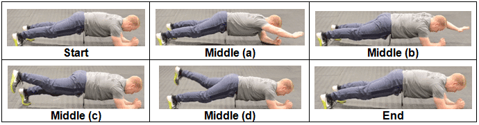 One Arm or One Leg Plank