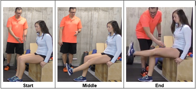 5 Easy and Effective Knee Strengthening Exercises for Arthritis