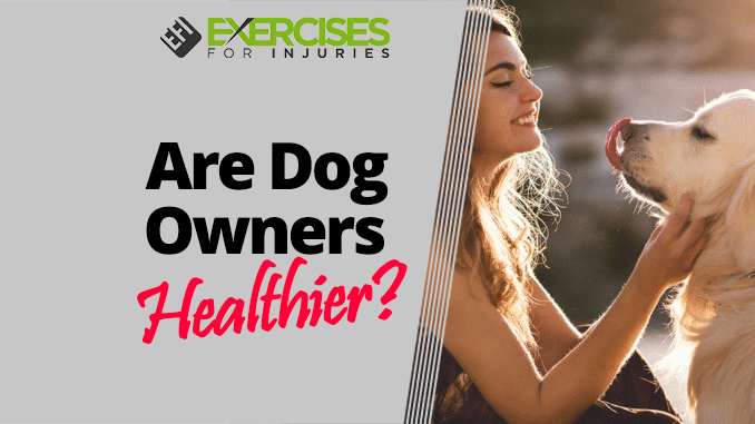 Are Dog Owners Healthier