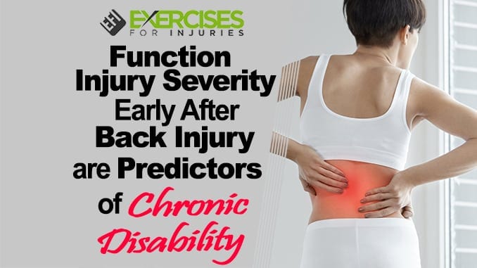 Function, Injury Severity Early After Back Injury are Predictors of Chronic Disability