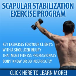 Scapular Stabilization Exercises – Webinar for Fitness Professionals ...