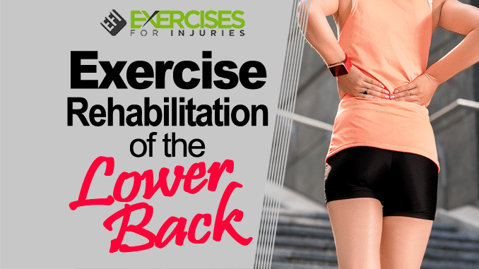 Exercise Rehabilitation of the Lower Back