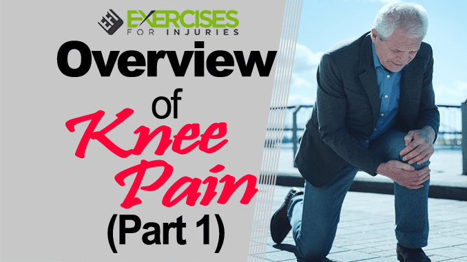 Overview of Knee Pain (Part 1) copy