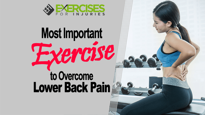 Most Important Exercise to Overcome Lower Back Pain