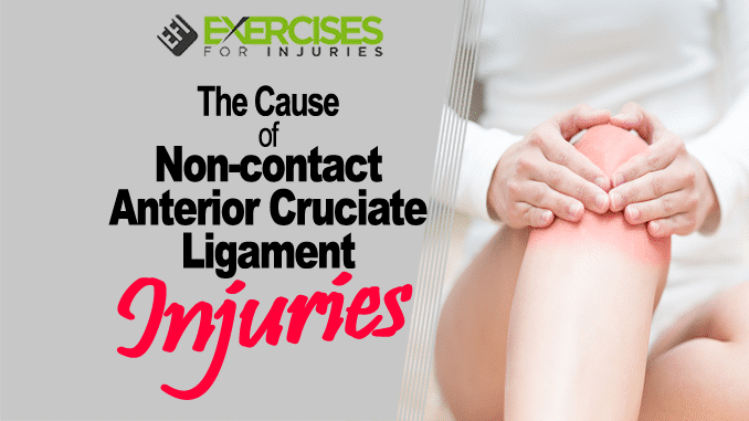 The Cause of Noncontact Anterior Cruciate Ligament Injuries copy