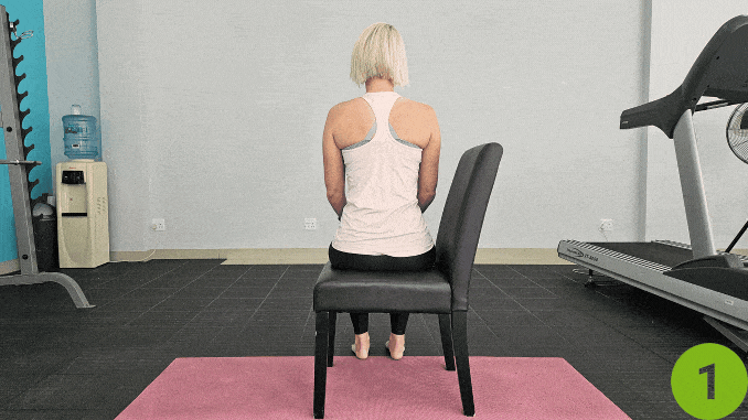 Shoulder Blade Squeeze (Scapular Retraction)