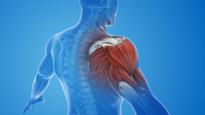 The Truth About Planks and Rotator Cuff Injuries