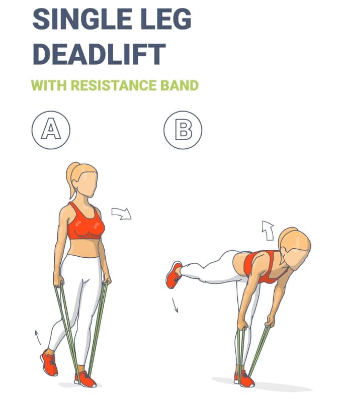 Single Leg Deadlift with Bands - Variable Resistance Exercise Examples