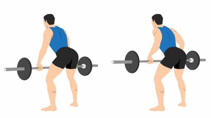 barbell in a minimalistic style