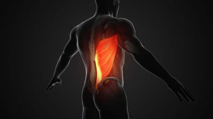 are bent over rows safe