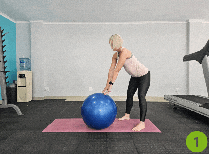 Stability Ball Squat