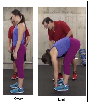Forward Fold Exercise
