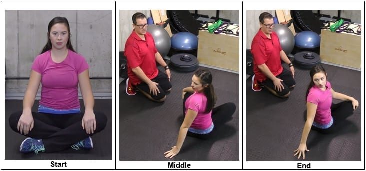 Seated Twist - yoga stretches for lower back pain