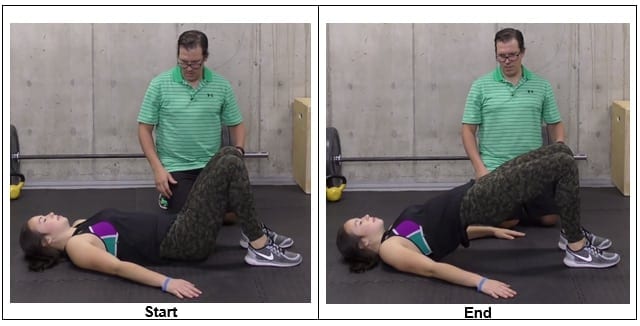 Glute Bridge