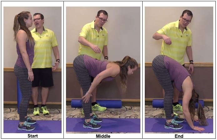 Forward Fold Movement