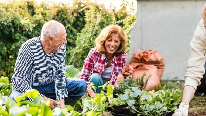 Planting: 150 calories per 30 minutes- gardening calorie-burning checklist
