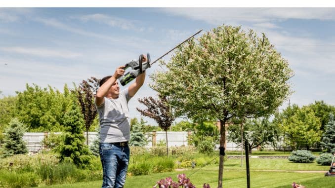 Hedge Trimming: 120 to 150 calories per 30 minutes
