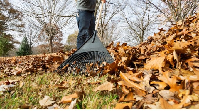 Raking: 200 to 400 calories per 30 minutes