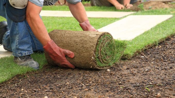 Laying Sod or Crushed Rock: 200 calories per 30 minutes

