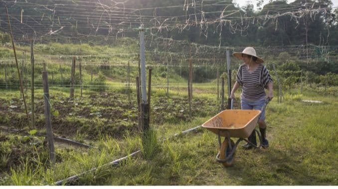 Moving Waste With a Wheelbarrow: 300 to 400 calories per 30 minutes
