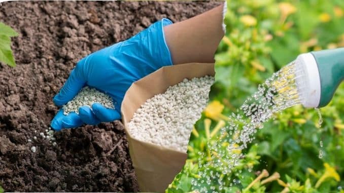 Applying Fertilizer or Watering: 20 to 50 calories per 30 minutes- gardening calorie-burning checklist