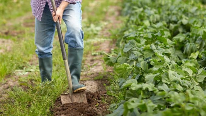 Digging: 190 to 200 calories per 30 minutes
