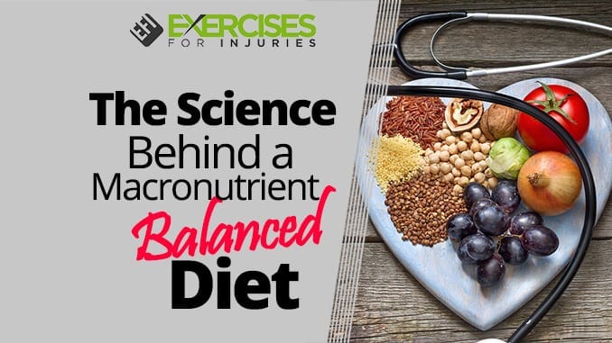 the-science-behind-a-macronutrient-balanced-diet-exercises-for-injuries