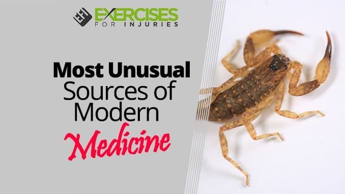 Most Unusual Sources of Modern Medicine