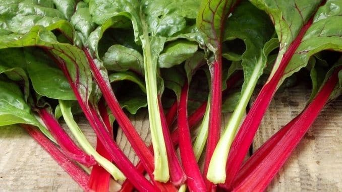 Green-Red-Cabbage