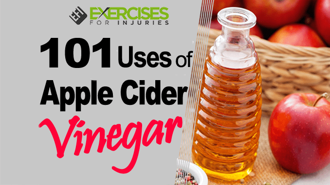 101 Uses of Apple Cider Vinegar copy