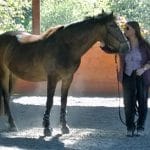 Susan Baudanza – Marstons Mills, MA, USA